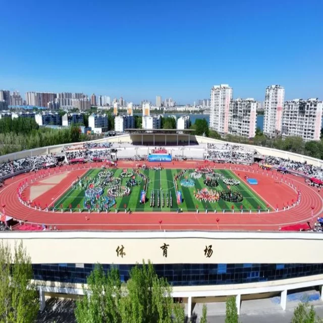 足球杯赛焦点对决阵容分析与胜负预测